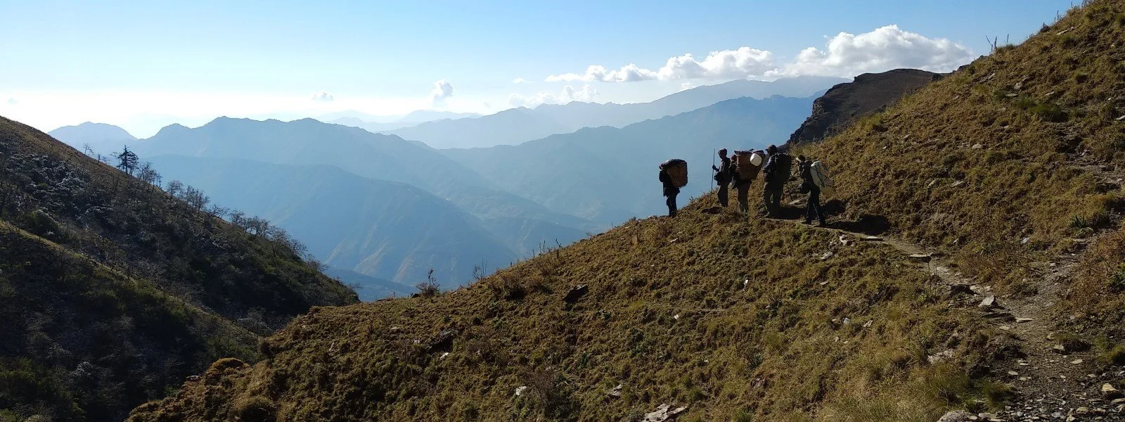 Species on the Brink: The importance of mental health in conservation